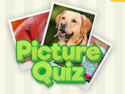 Picture Quiz