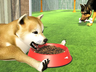 Dog Simulator