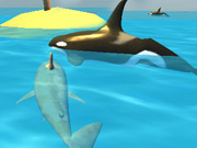 Shark Simulator