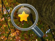 Hidden Gold Stars