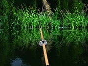 Bass Fishing