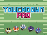 Touchdown Pro