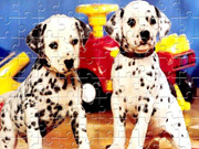 Puppy Pairs Puzzle