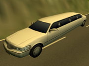 Limousine Driver