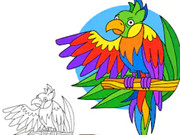 Parrot Pal Coloring