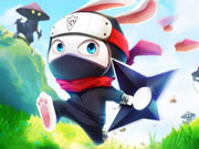 Ninja Rabbit